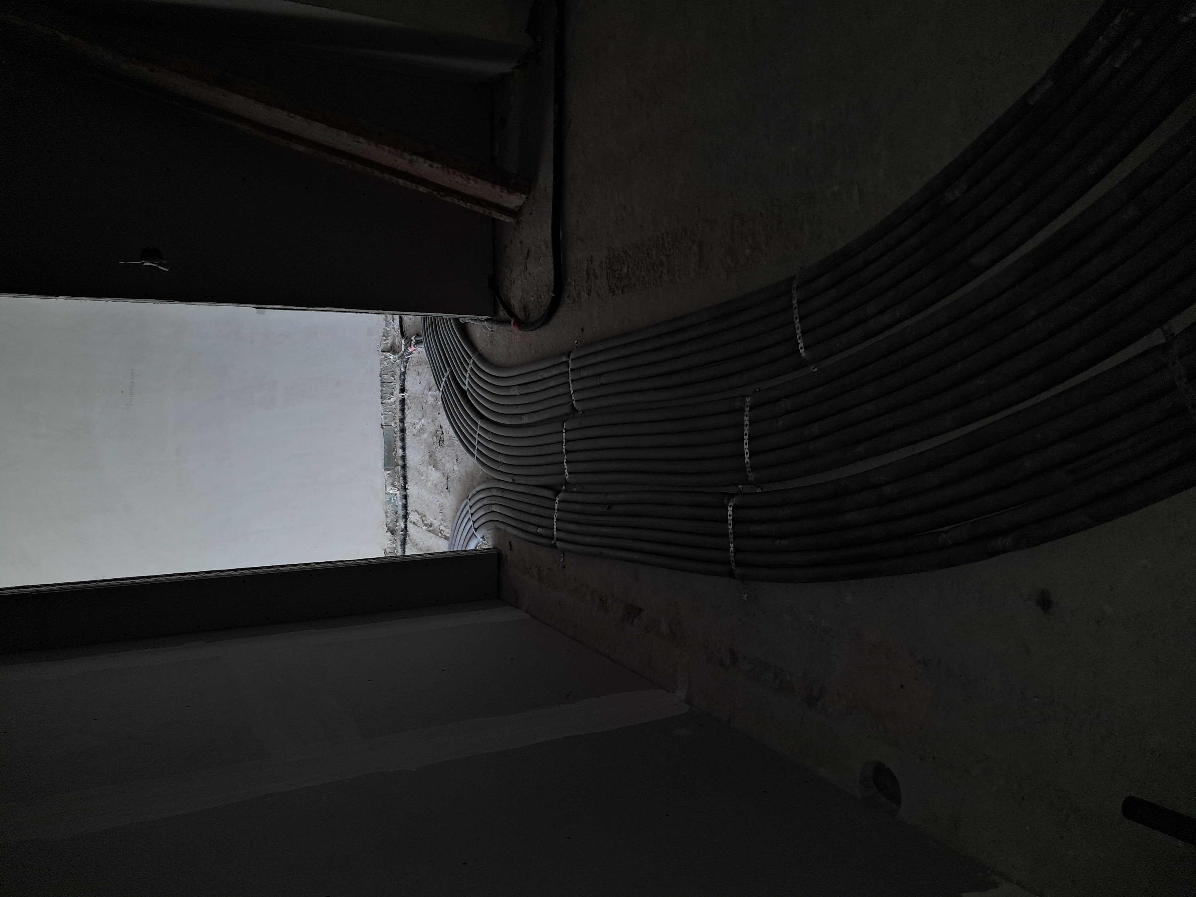 20260727_110037.jpg